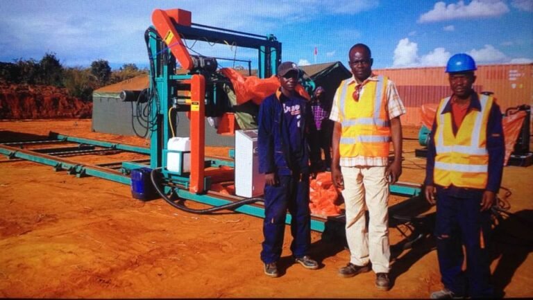 twin blade angle sawmill in congo